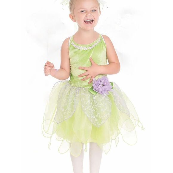 Little adventures Toddler Girls 3-5 Years Fairy Costume Dress Only - Picture 7 of 7